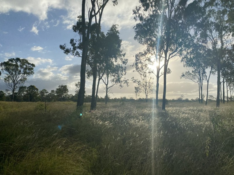 36 Forbe Road, Forest Hill QLD 4342