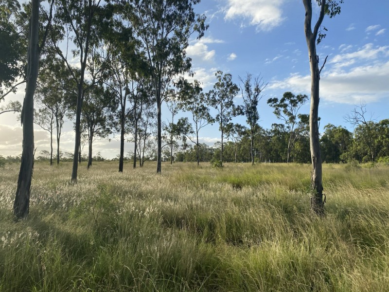 36 Forbe Road, Forest Hill QLD 4342