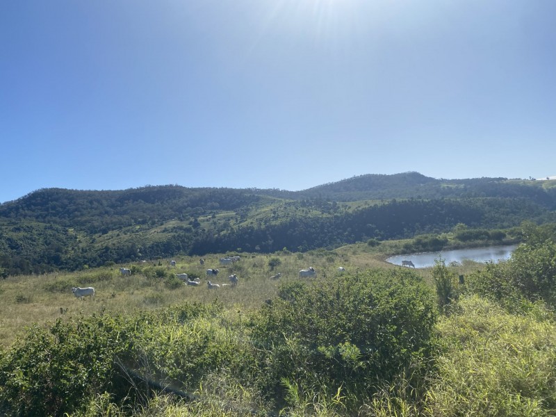 240 West Haldon Road, West Haldon QLD 4359