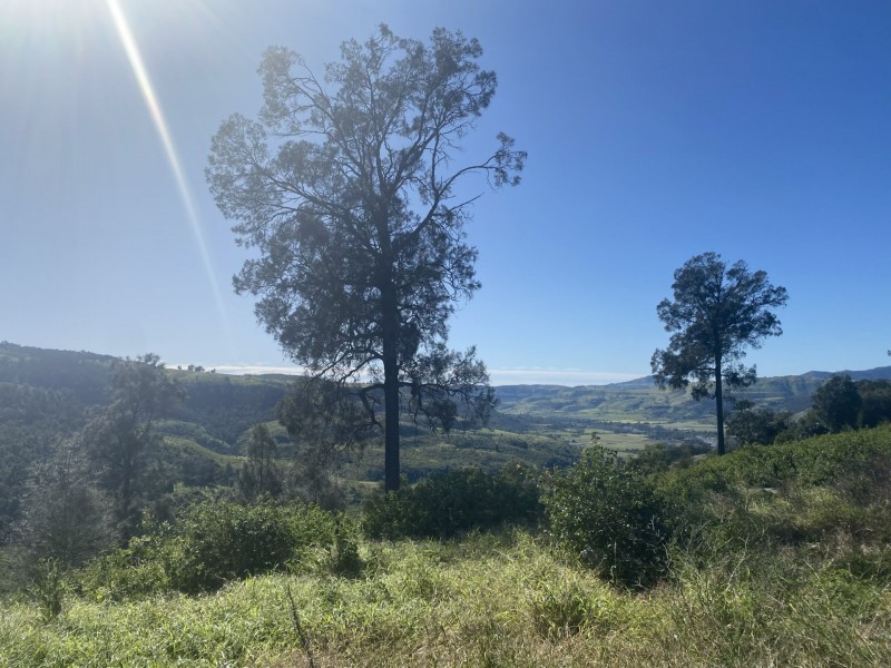 240 West Haldon Road, West Haldon QLD 4359