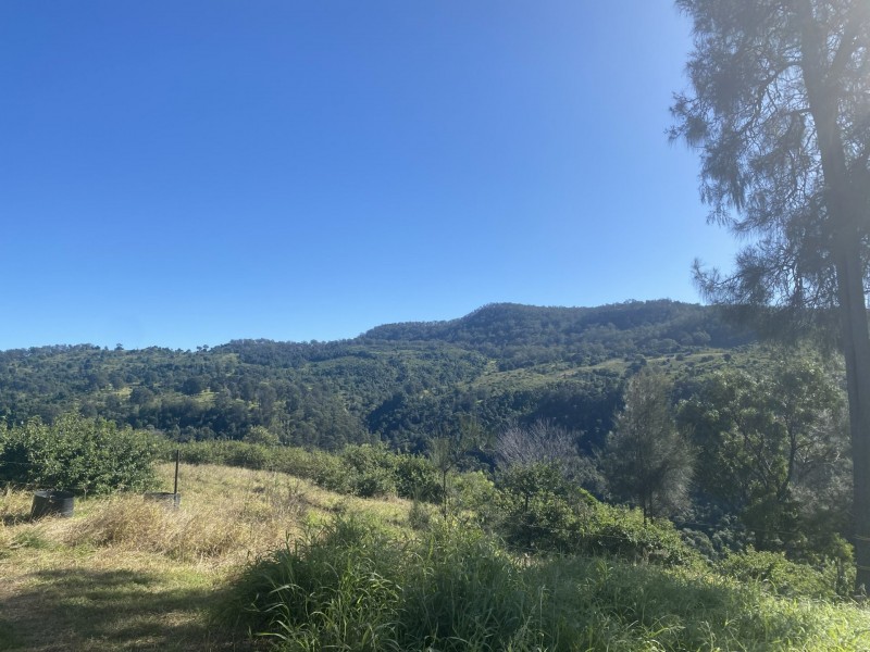 240 West Haldon Road, West Haldon QLD 4359