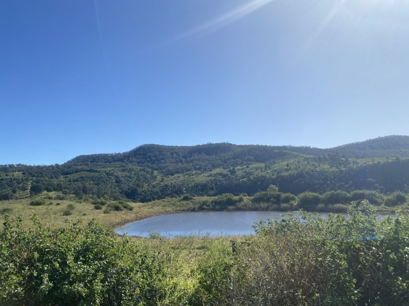 240 West Haldon Road, West Haldon QLD 4359