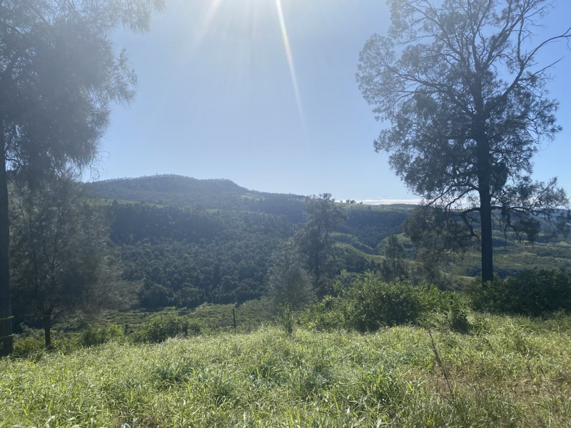 240 West Haldon Road, West Haldon QLD 4359