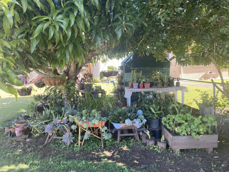 40 Buaraba Street, Gatton QLD 4343