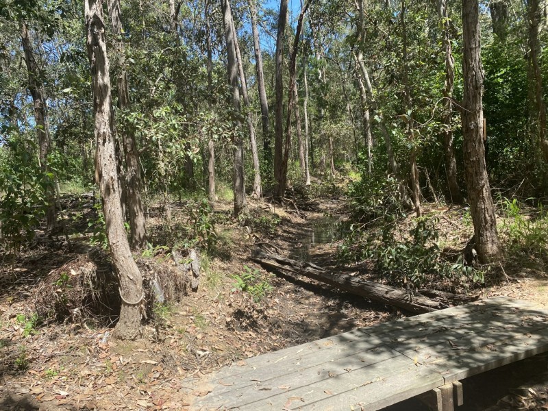 Spring Creek QLD 4343