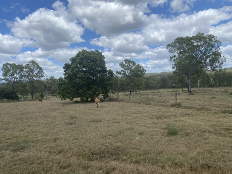 41 Karina Street, Placid Hills QLD 4343