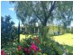 13 Peppertree Place, Plainland QLD 4341