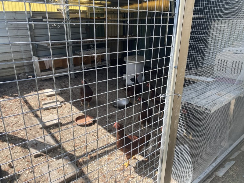 13 Peppertree Place, Plainland QLD 4341