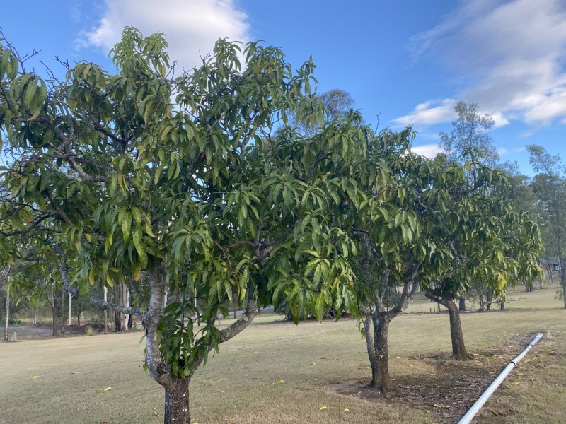 221 Woodlands Road, Gatton QLD 4343