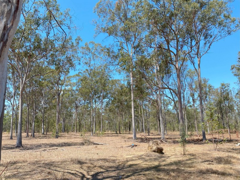 34 Kelly Road, Spring Creek QLD 4343