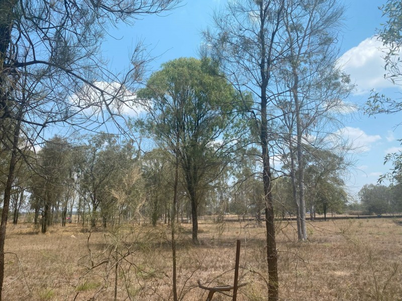 683 Gatton Esk Road, Adare QLD 4343