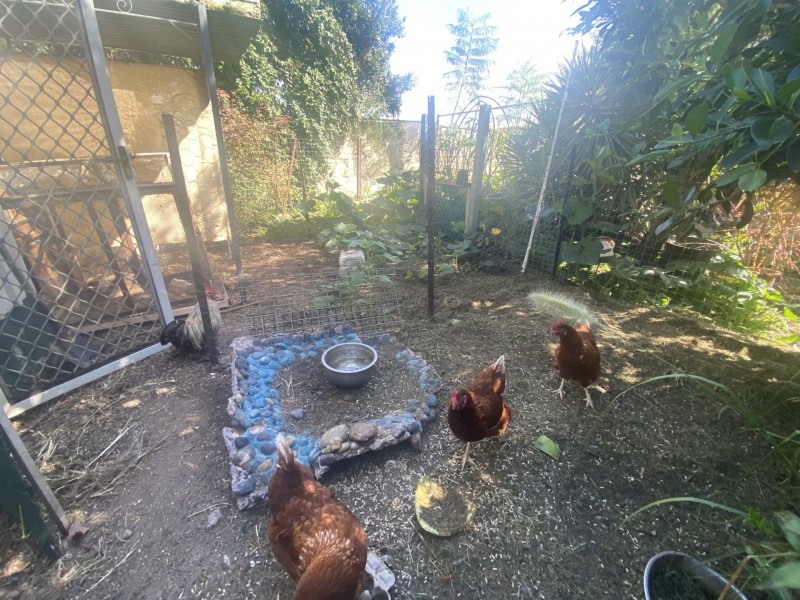 109 William Street, Gatton QLD 4343