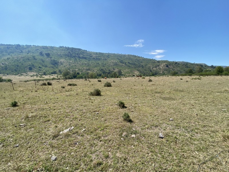 1133 Ropeley-Rockside Road, Rockside QLD 4343