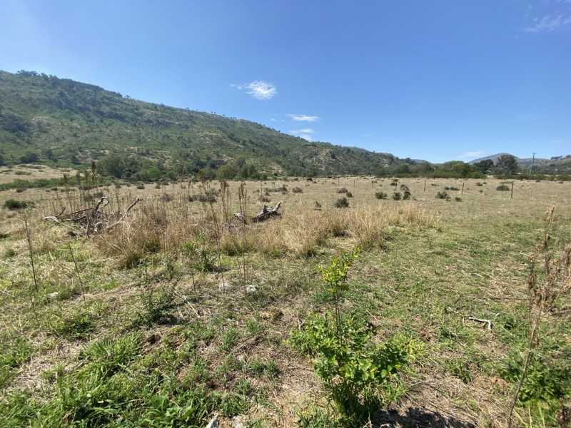 1133 Ropeley-Rockside Road, Rockside QLD 4343