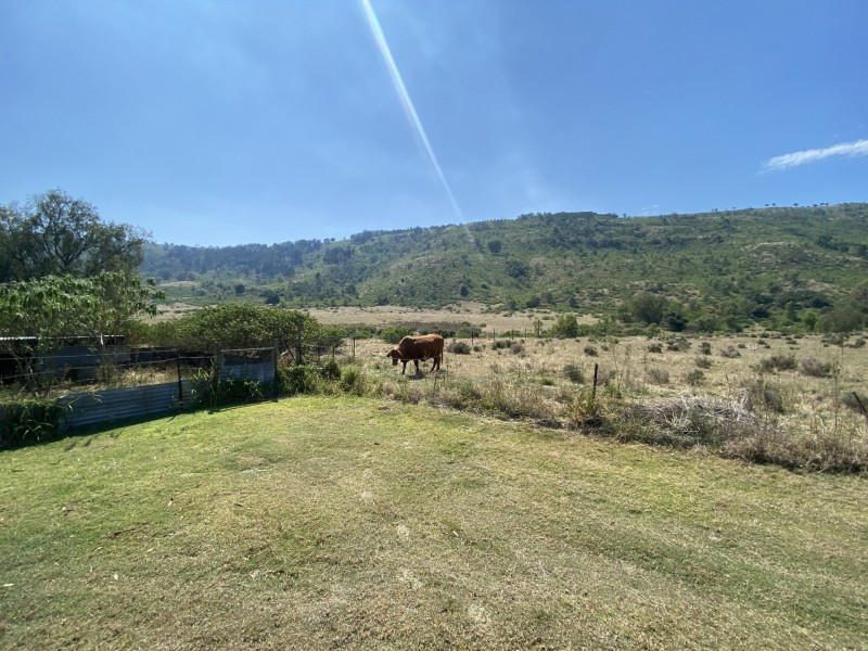 1133 Ropeley-Rockside Road, Rockside QLD 4343