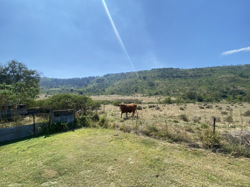 1133 Ropeley-Rockside Road, Rockside QLD 4343