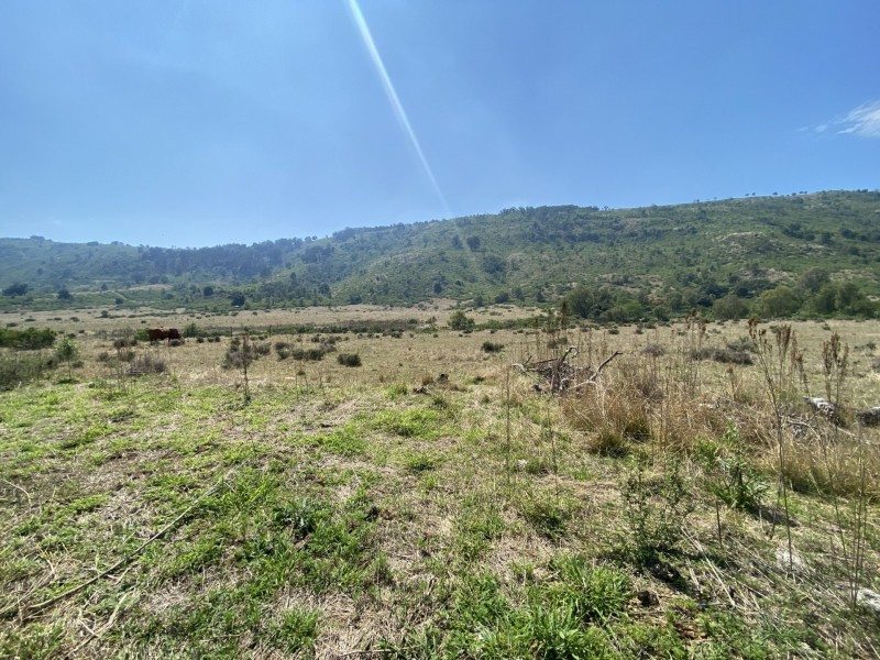 1133 Ropeley-Rockside Road, Rockside QLD 4343