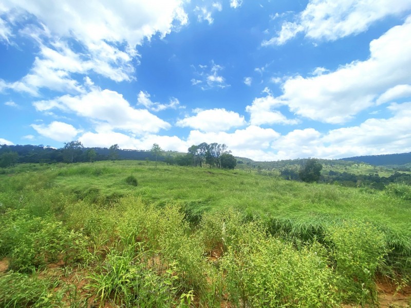 1789 Gatton Clifton Road, Mount Whitestone QLD 4347