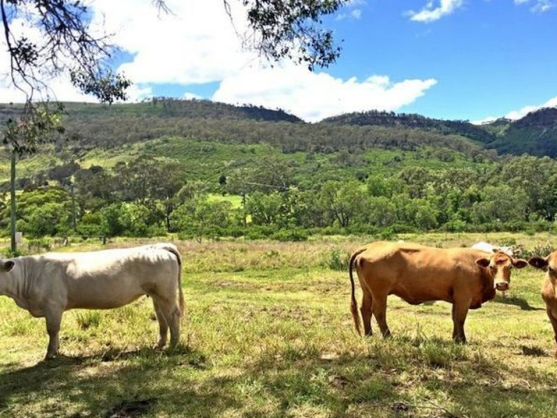 1904 Gatton Clifton Road, Fordsdale QLD 4343