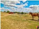 33 Sippel Road, Blenheim QLD 4341