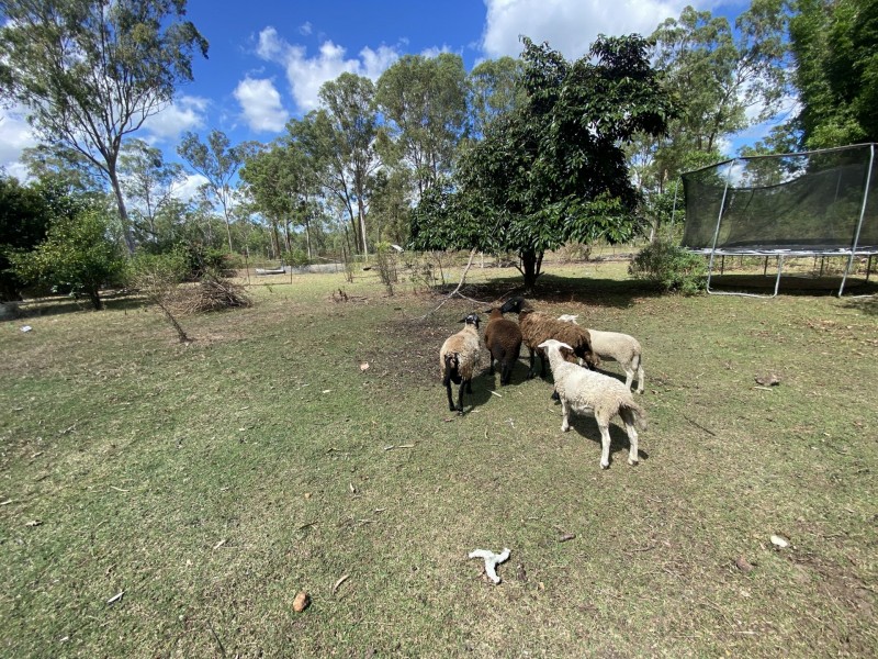 1449 Atkinsons Dam Road, Churchable QLD 4311