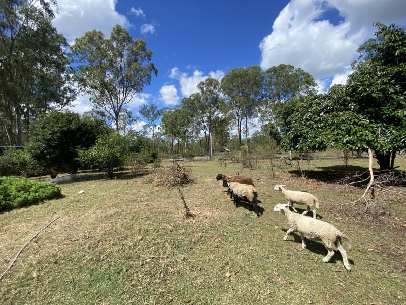 1449 Atkinsons Dam Road, Churchable QLD 4311