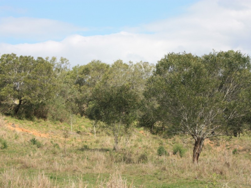 L29 681 Lowood Minden Road, Coolana QLD 4311