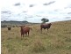 Grantham QLD 4347