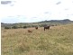 Grantham QLD 4347