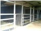 Gatton QLD 4343