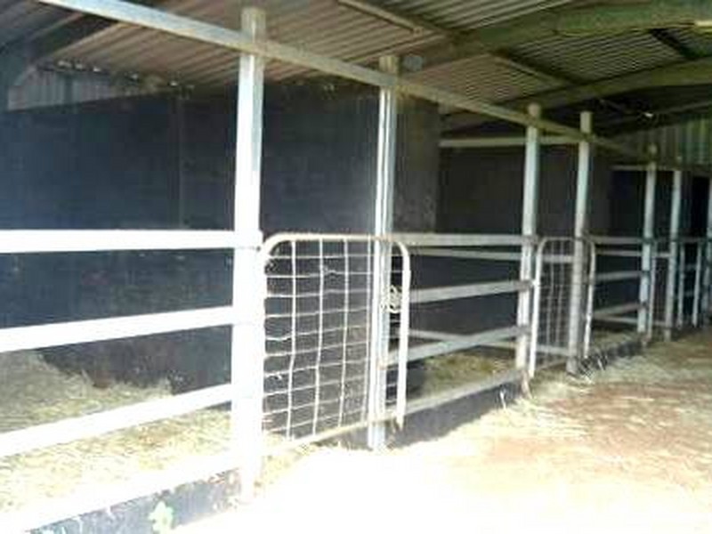 Gatton QLD 4343