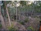Lot 29 Willaura Drive, Coominya QLD 4311