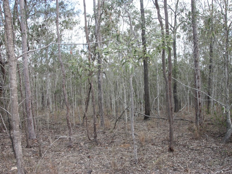 Lot 29 Willaura Drive, Coominya QLD 4311