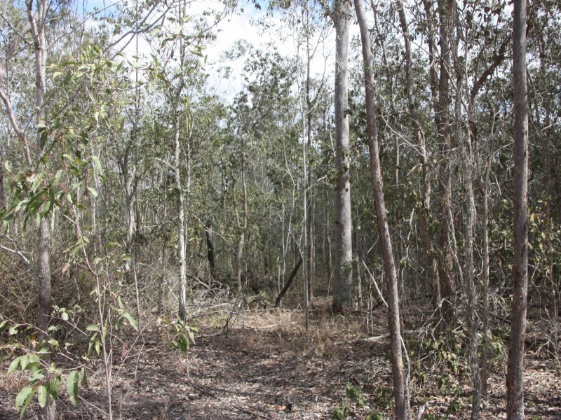 Lot 29 Willaura Drive, Coominya QLD 4311