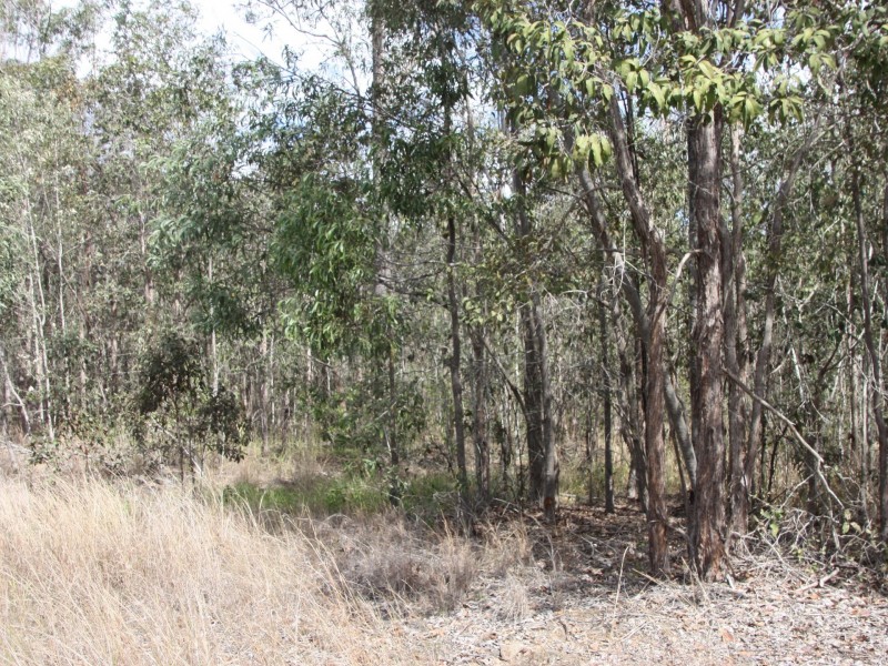 Lot 29 Willaura Drive, Coominya QLD 4311