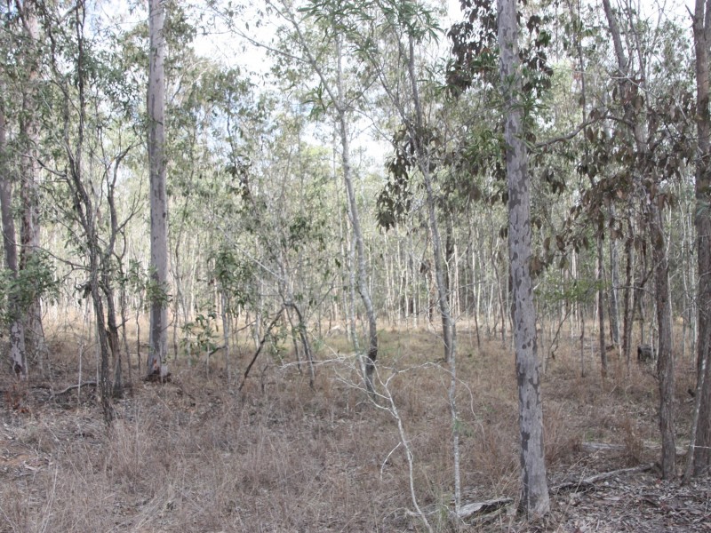 Lot 29 Willaura Drive, Coominya QLD 4311