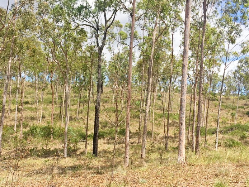 Lot PINNACLE RISE ESTATE/103 Green Gully Road, Upper Lockyer QLD 4352