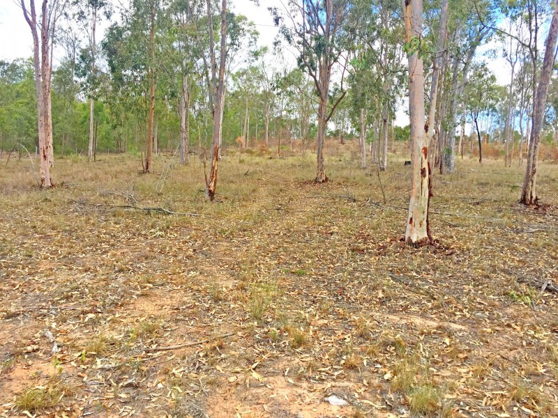 Lot PINNACLE RISE ESTATE/49-115 Green Gully Road, Upper Lockyer QLD 4352