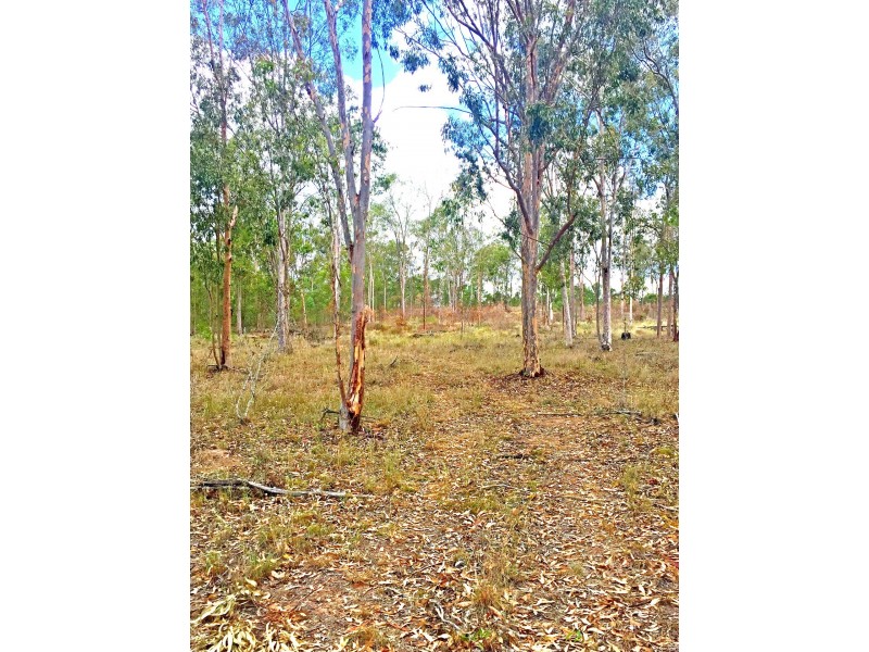 Lot PINNACLE RISE ESTATE/49-115 Green Gully Road, Upper Lockyer QLD 4352