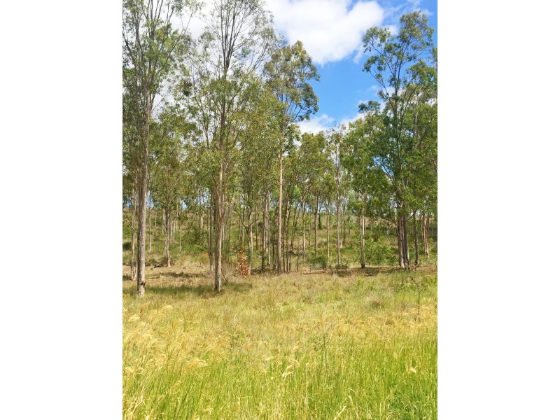 Lot PINNACLE RISE ESTATE/49-115 Green Gully Road, Upper Lockyer QLD 4352