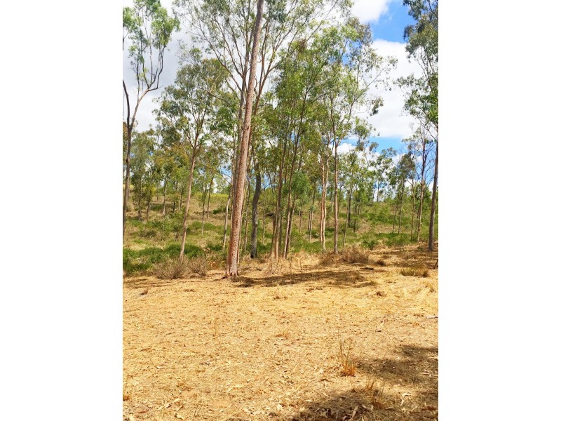 Lot PINNACLE RISE ESTATE/49-115 Green Gully Road, Upper Lockyer QLD 4352