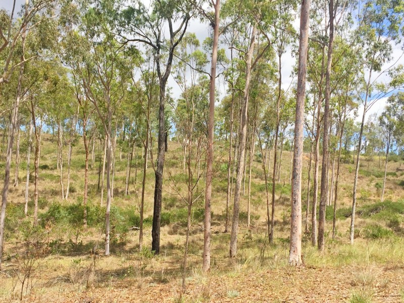 Lot PINNACLE RISE ESTATE/49-115 Green Gully Road, Upper Lockyer QLD 4352