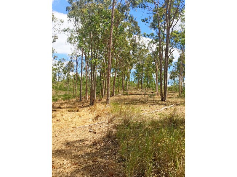 Lot PINNACLE RISE ESTATE/49-115 Green Gully Road, Upper Lockyer QLD 4352