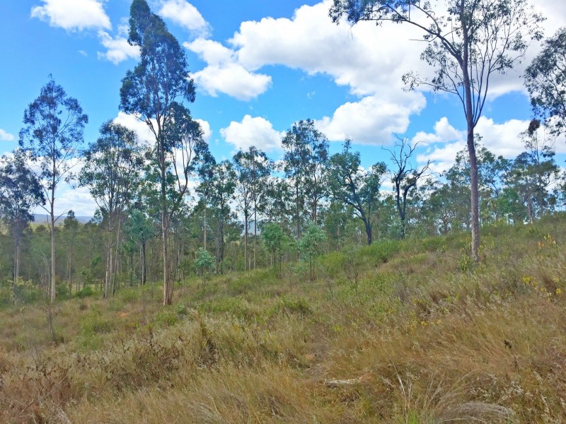 Lot PINNACLE RISE ESTATE/49-115 Green Gully Road, Upper Lockyer QLD 4352