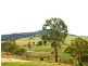 681 Lowood Minden Road, Coolana QLD 4311