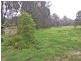 9 Aaron Court, Regency Downs QLD 4341