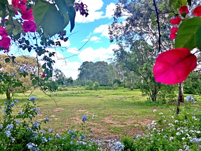 87 Forest Hill Fernvale Rd, Glenore Grove QLD 4342