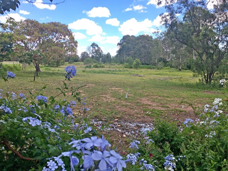 87 Forest Hill Fernvale Rd, Glenore Grove QLD 4342