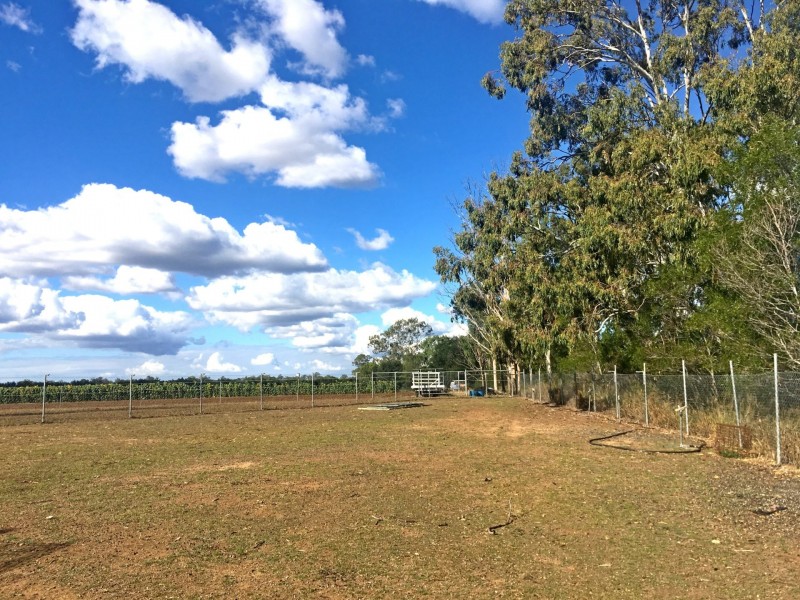 Gatton QLD 4343