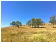 21 Schadwell Road, Blenheim QLD 4341